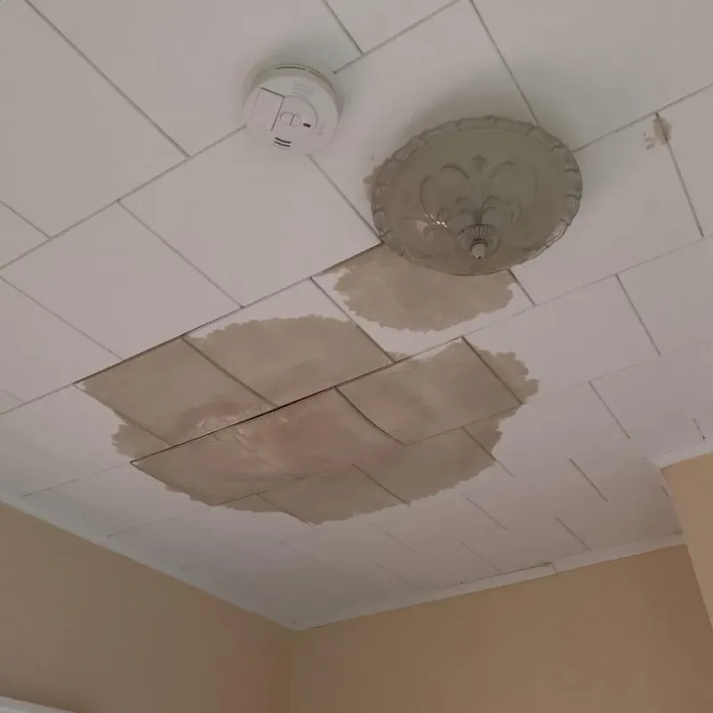 Ceiling Water Damage Repair in Viola, NY